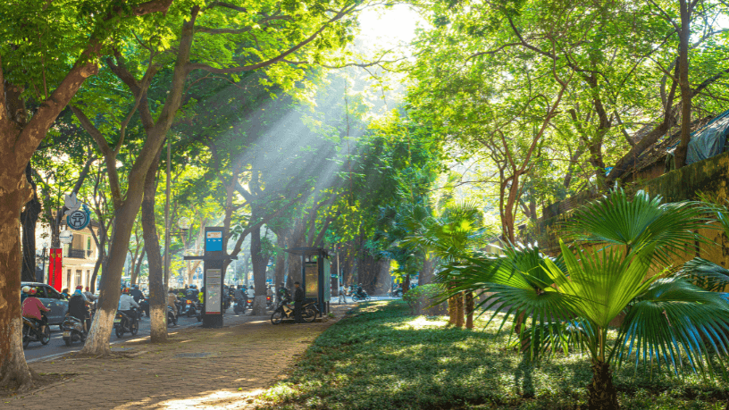 Planejamento e visão estratégica definem o poder transformador dos masterplans, ressalta Alex Nabuco dos Santos.