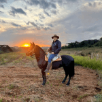 Manejo responsável, nutrição balanceada e acompanhamento veterinário garantem alto desempenho e qualidade de vida aos cavalos — um compromisso reforçado por Altevir Seidel.