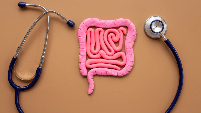 Para Gustavo Luíz Guilherme Pinto, a saúde intestinal revela-se um pilar decisivo para ampliar a energia e acelerar a recuperação muscular de atletas.