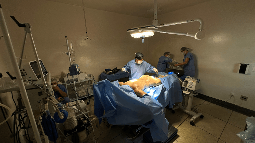 A engenharia tecidual e a medicina regenerativa ampliam possibilidades na cirurgia plástica, explica Milton Seigi Hayashi.